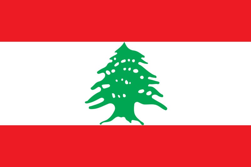 Lebanon Flag Iron On Heat Transfer Vinyl HTV / Republic of Lebanon / Lebanese Republic / Beirut / Lebanese