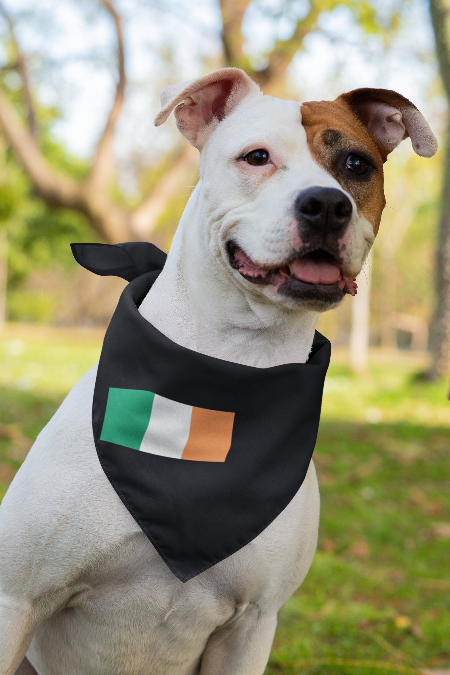 Ireland Flag Iron On Heat Transfer Vinyl HTV / Éire / Airlann / Northern Ireland / Irish / Belfast