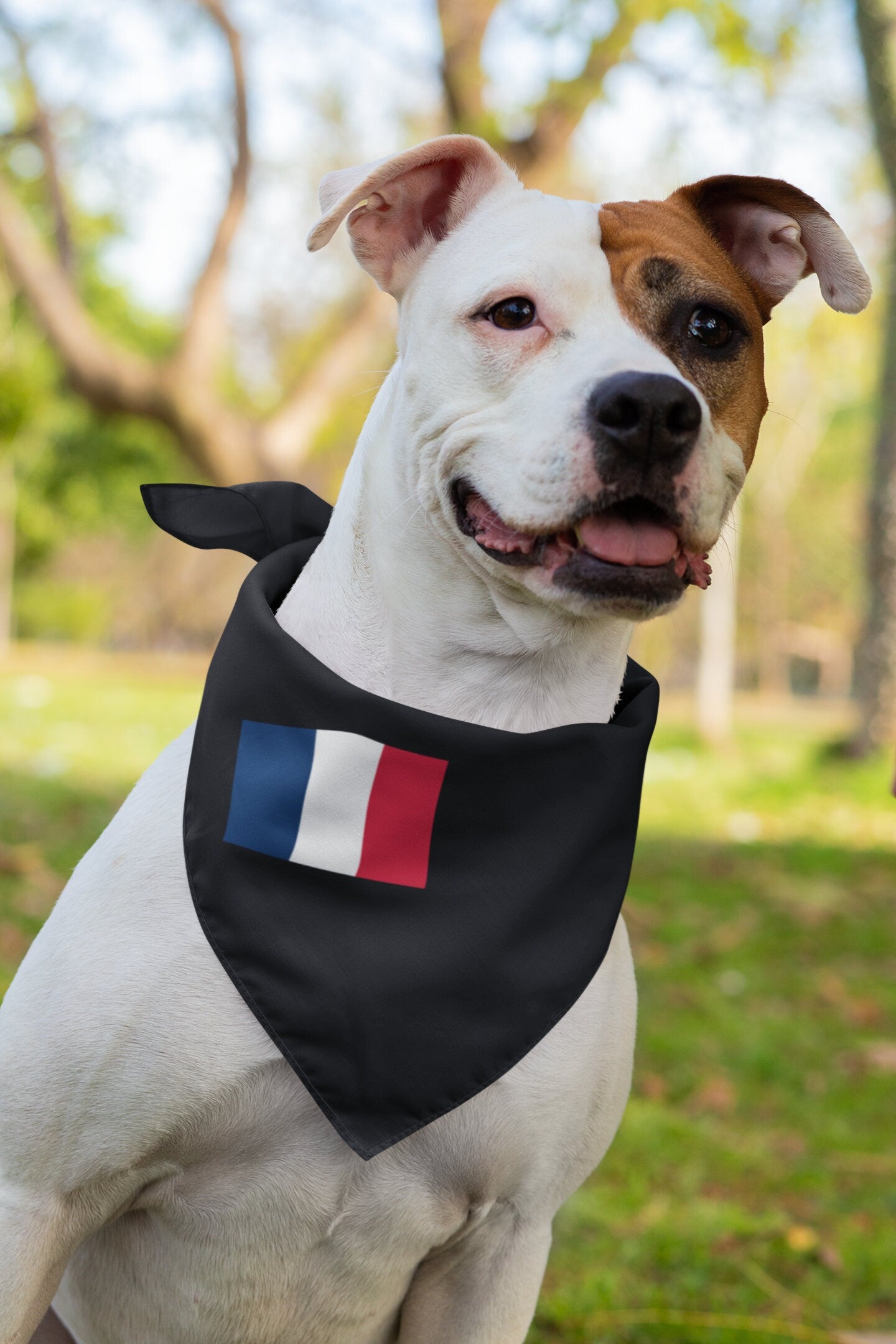 France Flag Iron On Heat Transfer Vinyl HTV / French Republic / Paris / French / Liberté, égalité, fraternité