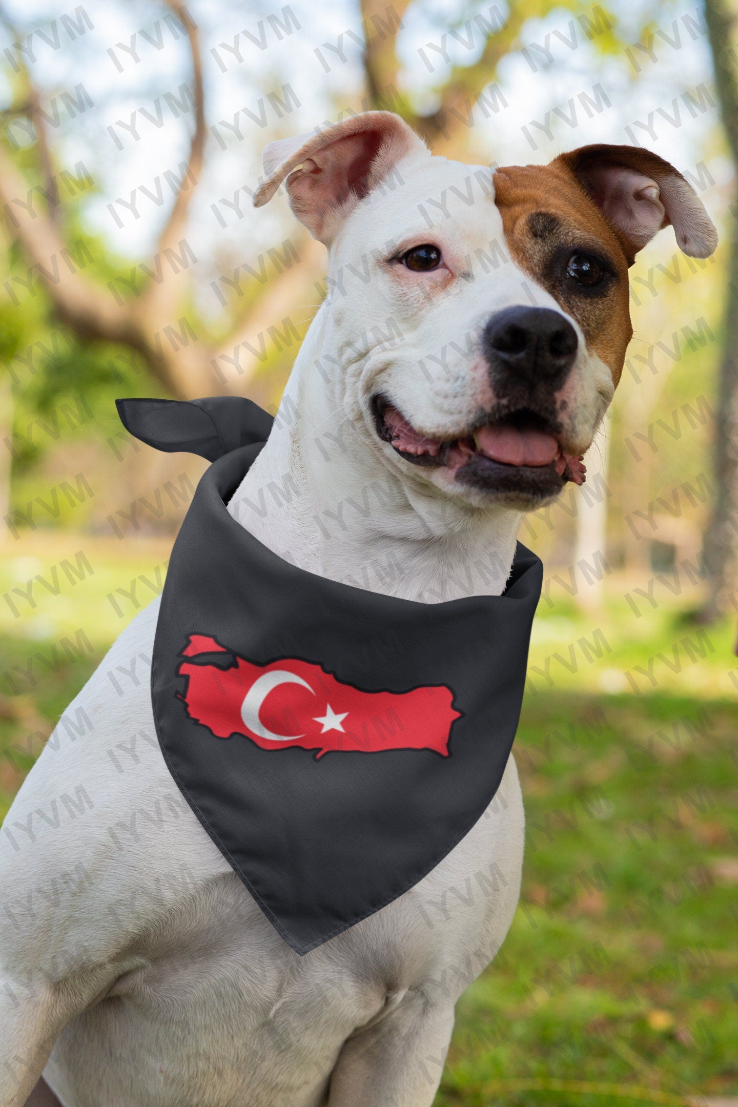 Turkey Map Iron On Heat Transfer Vinyl HTV / Republic of Turkey / Türkiye Cumhuriyeti / Ankara / Turkish /
