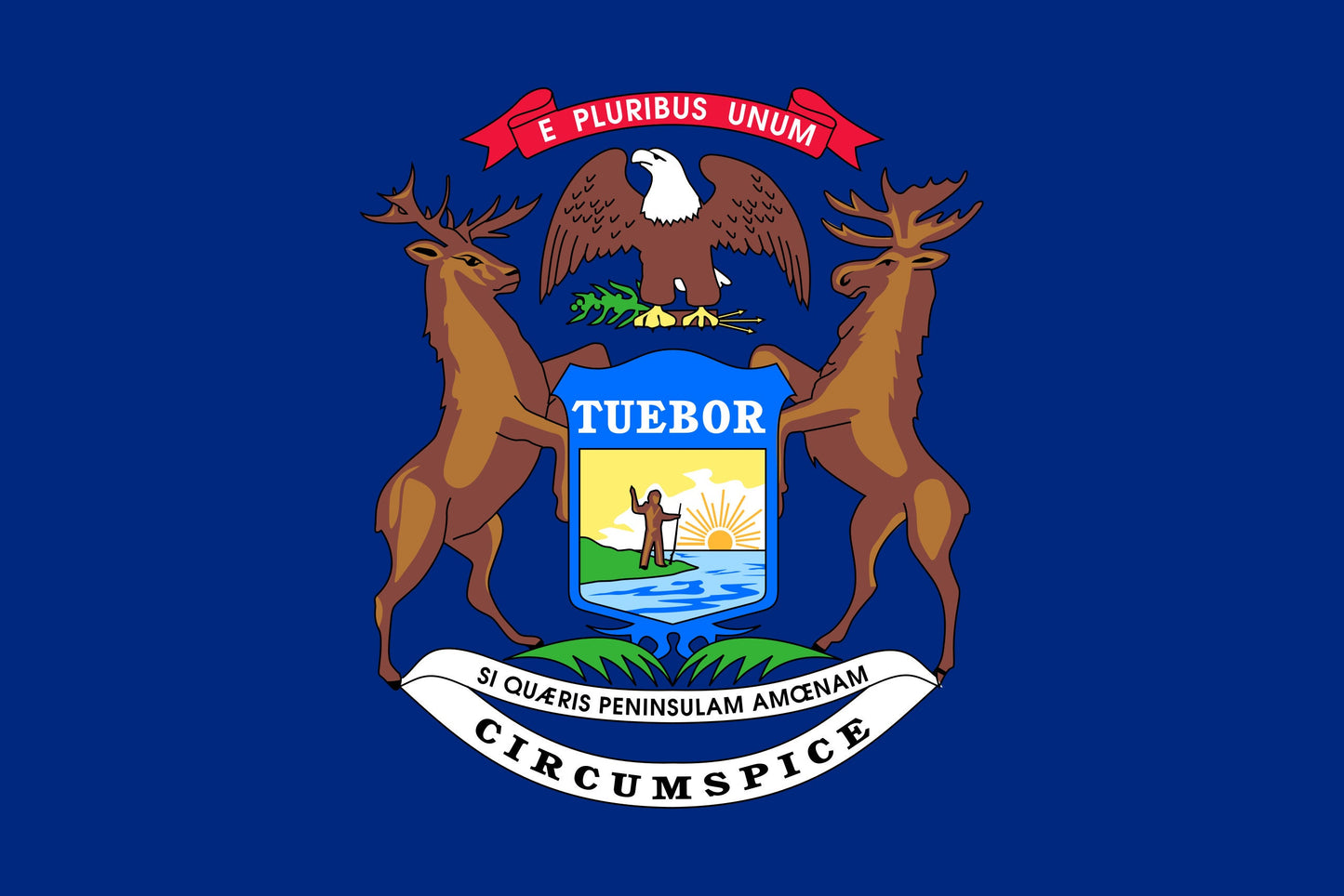 State of Michigan Flag Iron On Heat Transfer Vinyl HTV Michigan State Lansing The Great Lakes State